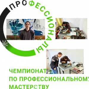 Подготовка к Чемпионату по профессиональному мастерству